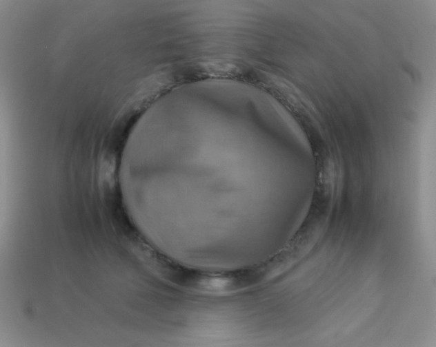 X0000113590610200910091501