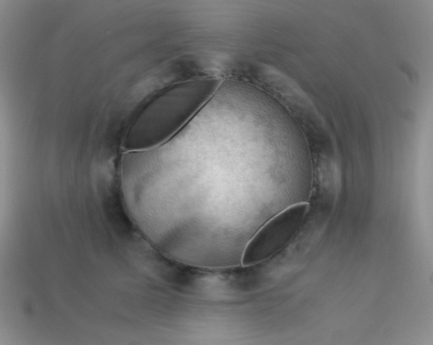 X0000113590611200910091501