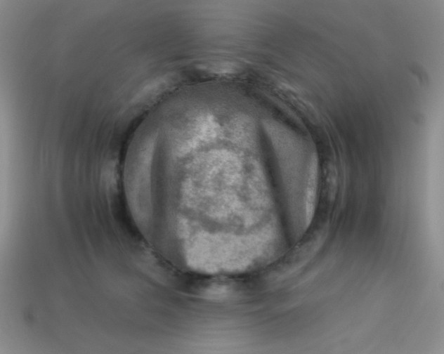 X0000113590612200910091501