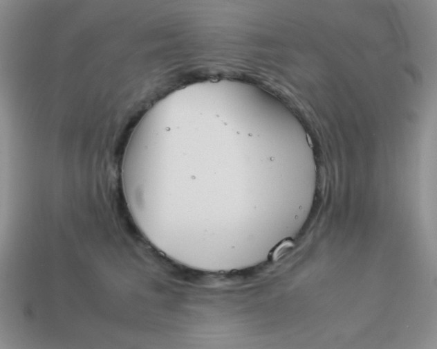 X0000113590613200910091501