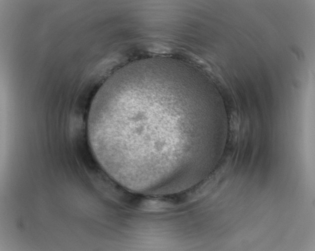 X0000113590614200910091501