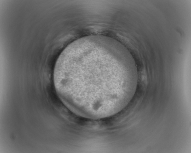 X0000113590615200910091501