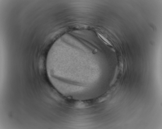 X0000113590616200910091501