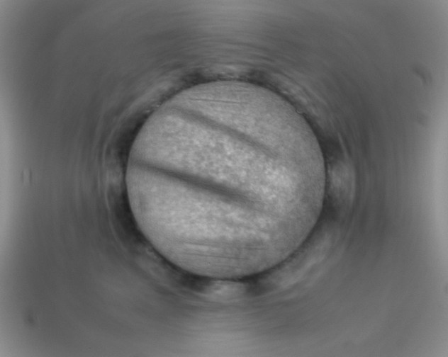 X0000113590617200910091501