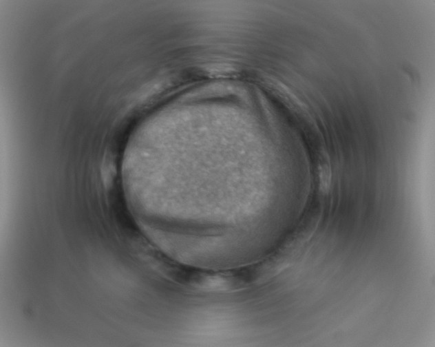 X0000113590618200910091501