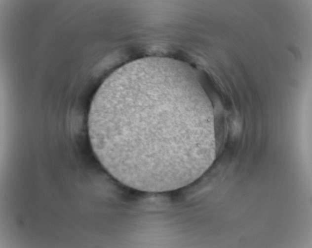 X0000113590619200910091501