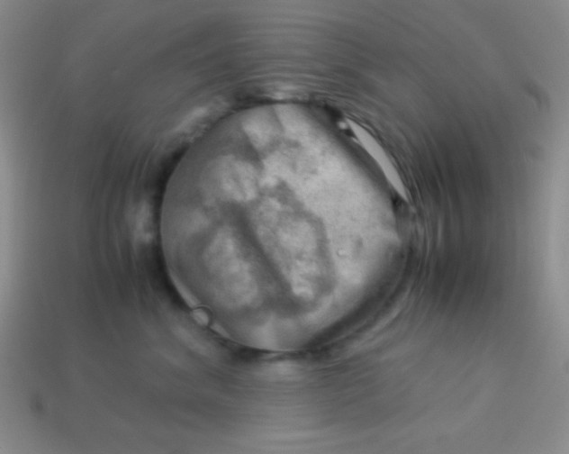 X0000113590620200910091501