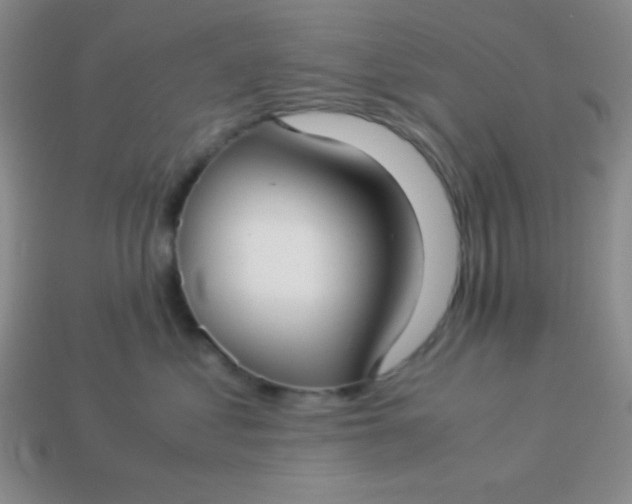 X0000113590621200910091501