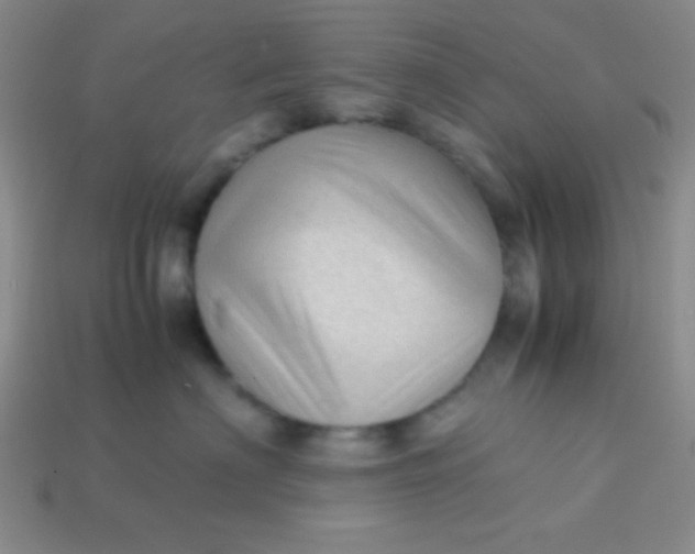 X0000113590622200910091501