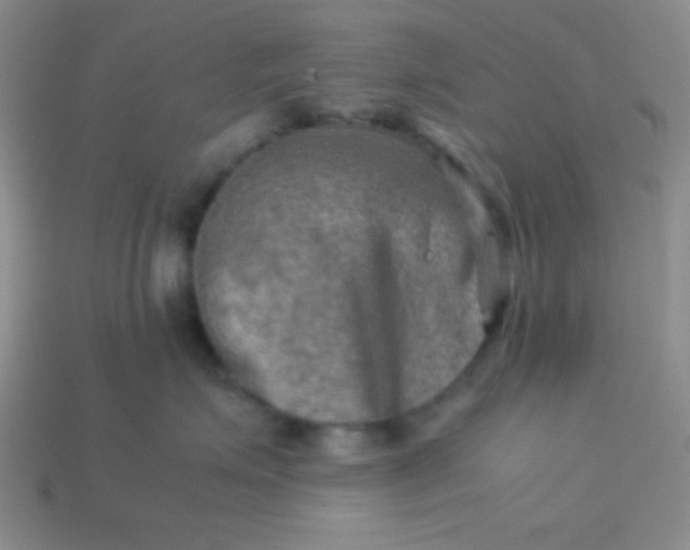 X0000113590623200910091501