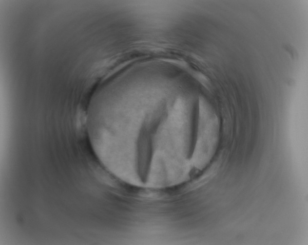 X0000113590624200910091501