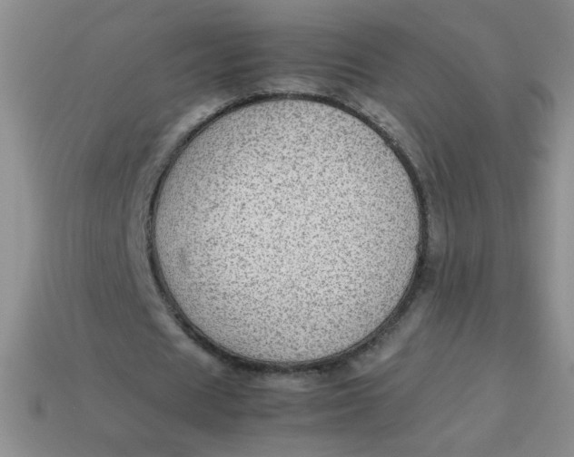 X0000113590625200910091500