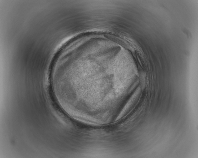 X0000113590628200910091500