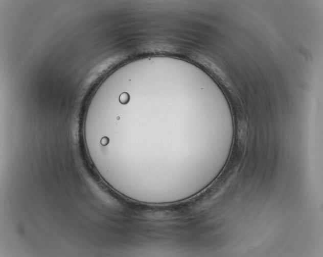 X0000113590629200910091500