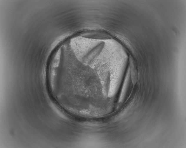 X0000113590630200910091500