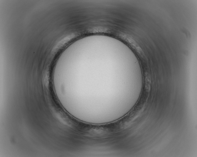 X0000113590631200910091500