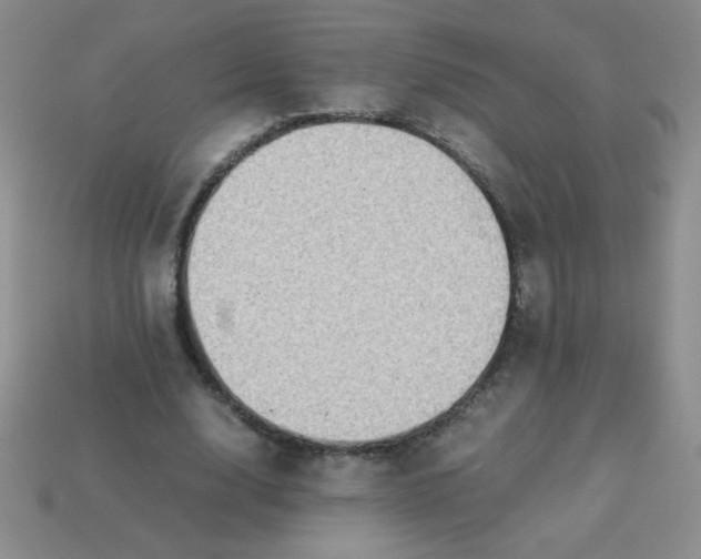 X0000113590632200910091500