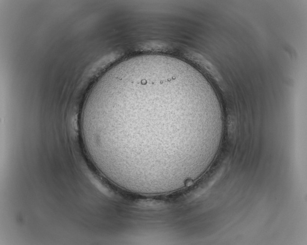 X0000113590633200910091500