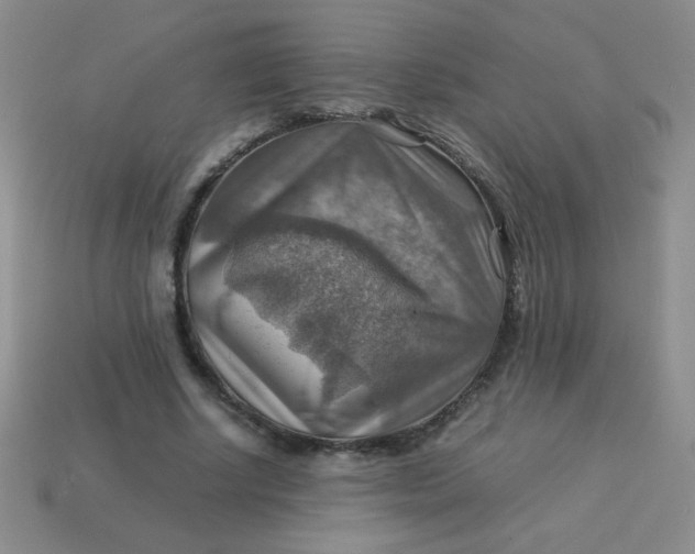 X0000113590634200910091500