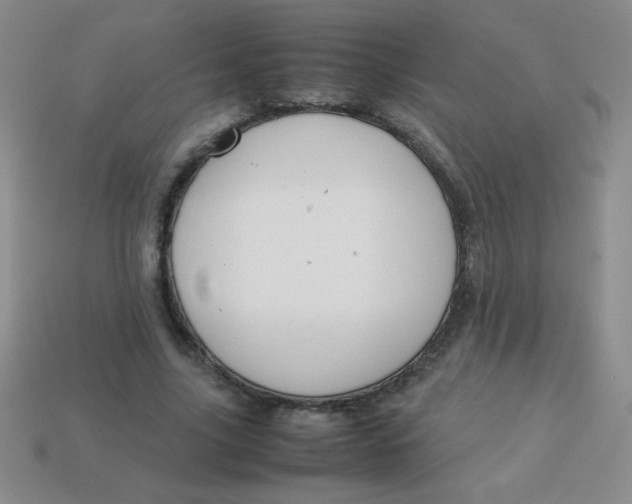 X0000113590635200910091500