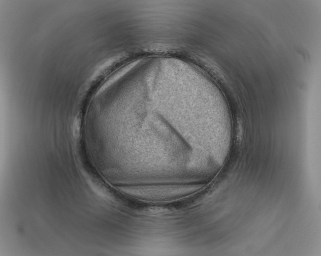 X0000113590636200910091500