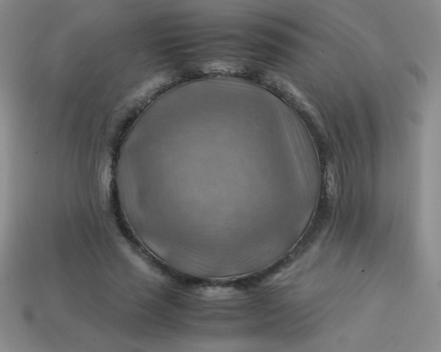 X0000113590637200910091500