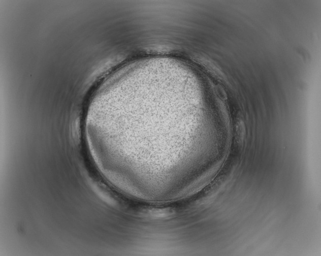 X0000113590638200910091500