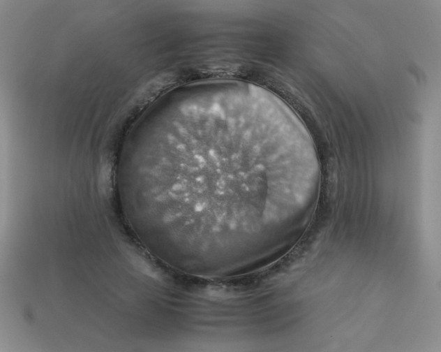 X0000113590641200910091500