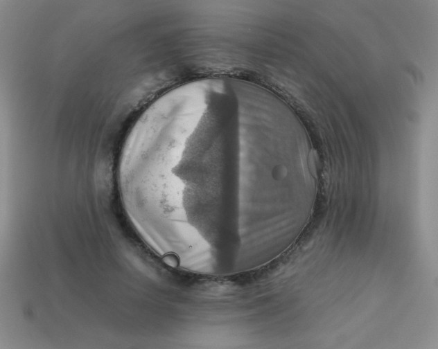 X0000113590642200910091500