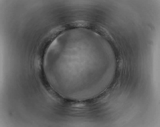 X0000113590643200910091500