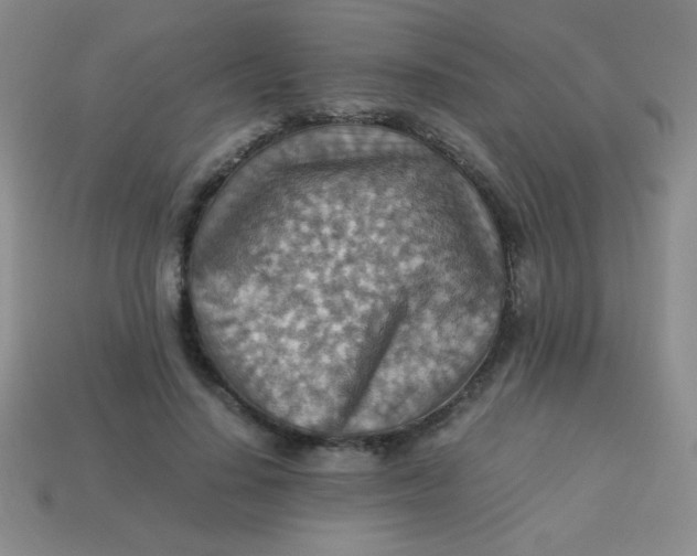 X0000113590644200910091500