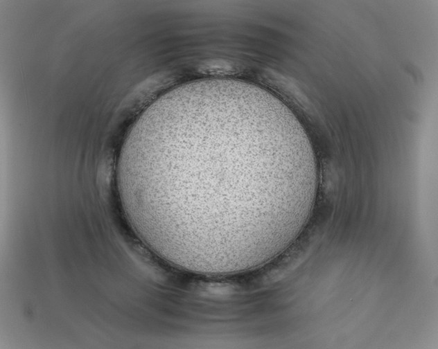 X0000113590645200910091500