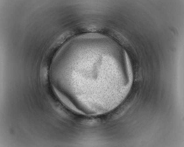 X0000113590646200910091500