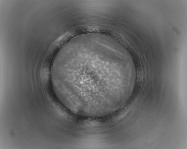 X0000113590648200910091500