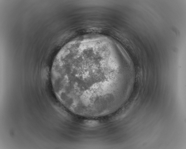 X0000113590649200910091500