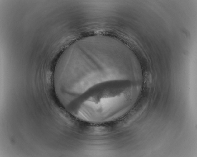 X0000113590650200910091500