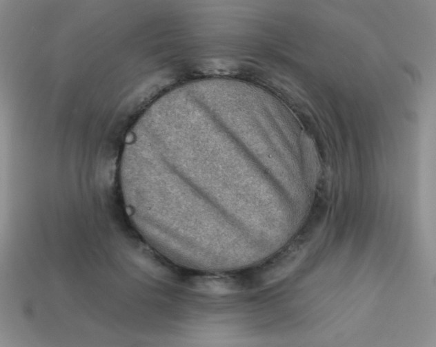 X0000113590652200910091500