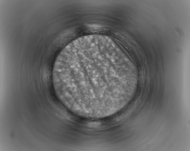 X0000113590653200910091500