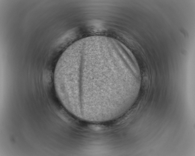 X0000113590654200910091500