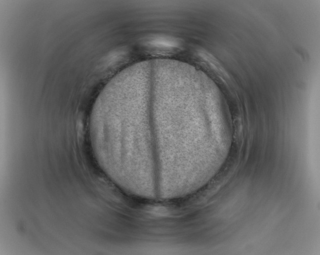 X0000113590655200910091500