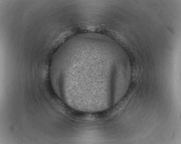 X0000113590656200910091500