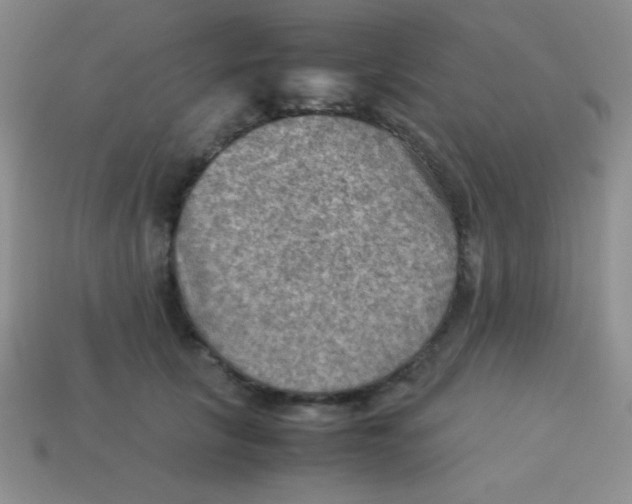 X0000113590657200910091500