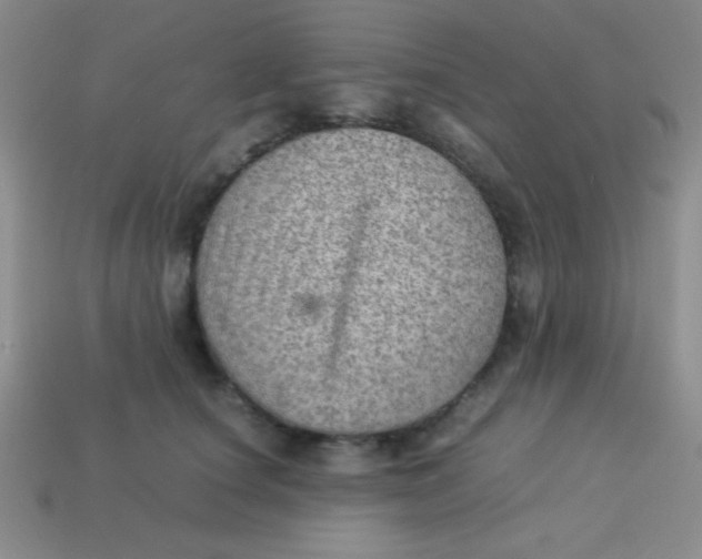 X0000113590660200910091500