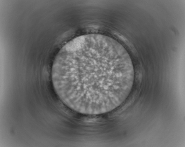 X0000113590661200910091500