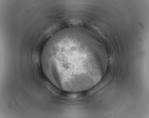 X0000113590662200910091500