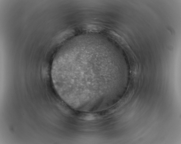 X0000113590663200910091500