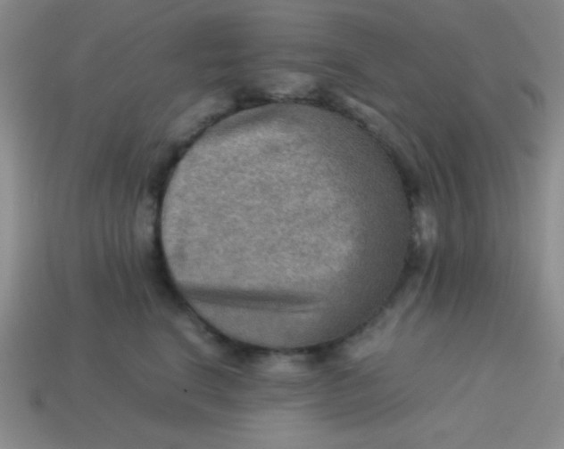 X0000113590664200910091500