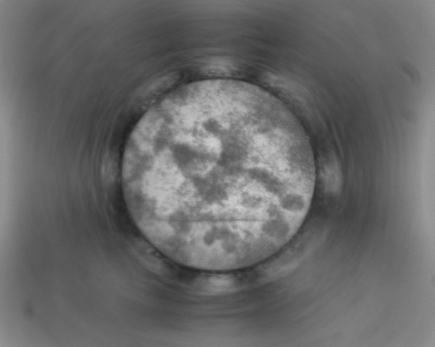 X0000113590665200910091501