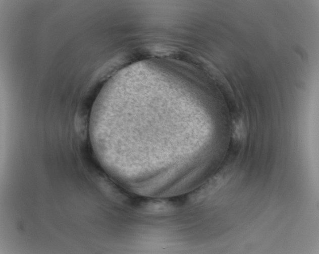 X0000113590666200910091501