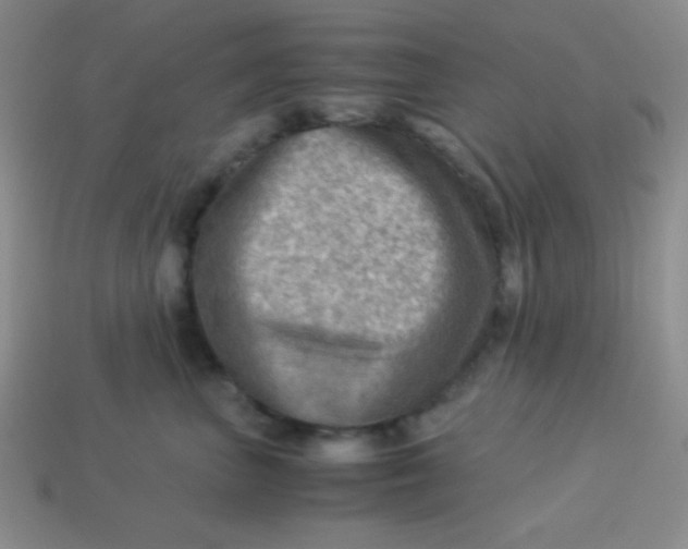 X0000113590667200910091501